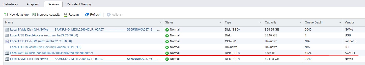 Через браузер на ESXi хост вижу свой RAID 6.