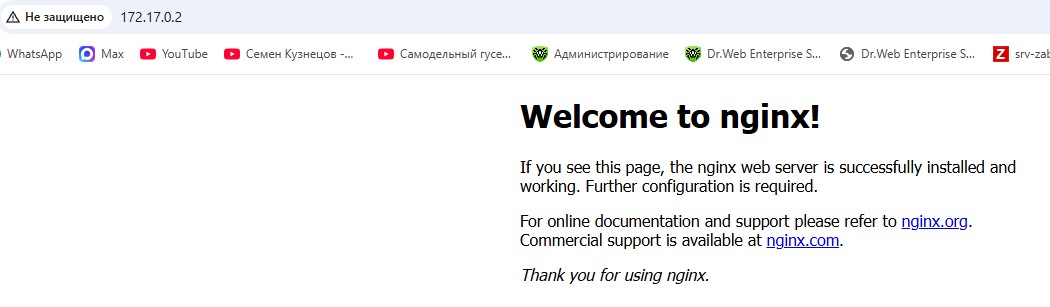 Контейнер поднят, Web-сервис внутри него работает.